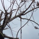 동산이발 - 중구 청구로1길 62 | 동산이발