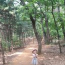 감골공원길 이미지