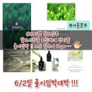 보타랩헤어 이미지