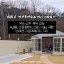 댕댕별 이미지