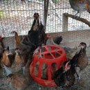 작은농원 이미지