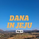 일공일플라워 | Day 4 : 감귤따기체험/카멜리아 힐/새별오름/전농로 일공일 (+핫플버스 제주 서부감성투어 내돈내산 후기)