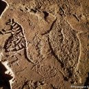 반구대로 이미지