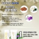 네츄럴시가