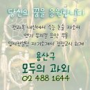 대한민국모두의과외