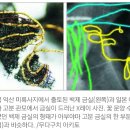 백재카 이미지