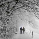 하얀이불 이미지