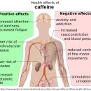 카페인헬스장 이미지