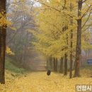 하반기 타박타박 인천 연합시민의소리