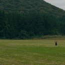 지니 나비 이미지