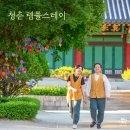 [대학생 청춘 템플스테이] ⛰️고양시 흥국사 템플스테이 체험형 🍵 1박 2일 후기
