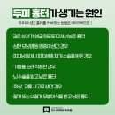 서울 모발이식 후기 맛집, 땜빵에 머리 심기 가능