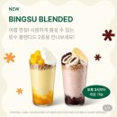 원인1인컵 | 스타벅스 컵빙수 팥빙수 여름한정 빙수 블렌디드 칼로리 & 솔직 후기
