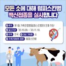 럼피 이미지