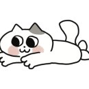 별헤는강