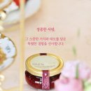 도테라코리아(유) 이미지