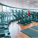 고구마 휘트니스 이미지