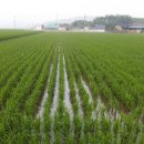 신지농장 이미지