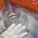 명품곱창 이미지