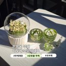 오르미 - 아산시 어의정로183번길 15 | 잠실 부케말리기 | 은방울 부케 그대로 재현한 오르미 부케 오브제 후기