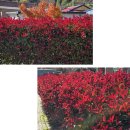 거제 노자산 전망대 관광안내소 | 통영 미륵산(구망봉-현금산-미륵산) 2025.11.30