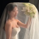 신도빌딩 | 스튜디오 웨딩촬영 시안 공유: 에이바이봄 촬영 메이크업, 현이헤어, 에스띠아 촬영 드레스 솔직 후기