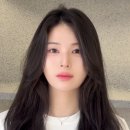 시우 컨설팅 이미지