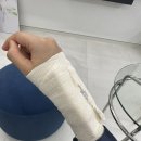[일상04] 23년 4월 / 스압주의, 손목부상 주간임에도 함께해서 햄볶