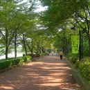 삼청동길 Daum카페