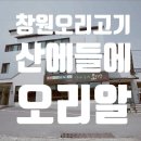 산에들에오리알