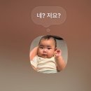 참약사 운서365공항약국 | 블로그 업데이트 왜 했을까 의문인 일상