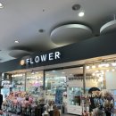 영보 | 수원 꽃집 영보꽃방 성대역점 내돈내산 솔직 후기