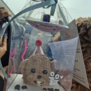 해피도그 | 청주 강아지 수제 생일 케이크 &#39;도그투케이크&#39; 솔직 후기