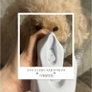사계절닷컴 이미지