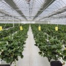 알로만농장 이미지