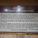 로뎀트리스파 이미지