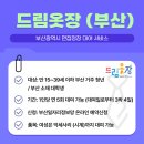 대상드림벨트 이미지