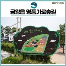 금왕읍 명품가로숲길 이미지