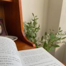 나의 인생 사진과 에세이 이미지