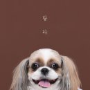 몽그라피 이미지