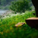 솔밭야영장 이미지