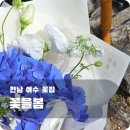 여수꽃집 꽃을봄, 수국 꽃다발 주문 후기