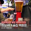 잠실새내 술집 잠실새내역 야구 대형 스크린 맥호프 생맥주 맛집