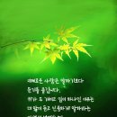 인생을 가볍게 살면 무슨 좋은 점이 있나? 이미지