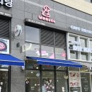 웨그앤코(WAG&CO) | 용인 동백 웨그앤코 강아지 미용 내돈내산 후기
