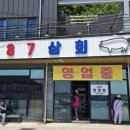 ♥울릉도‘87삼 회♥ 점심 특선 후기♥울릉도 여행 필수 코스♥ 사동항 87상회★ 독도 소주에 수육 한...