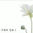 나만의 손뜨개B 이미지
