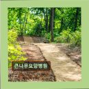 큰나무요양병원 | 경기도 파주 요양원 요양센터 정보 추천 큰나무요양병원 편안한 암환자 요양센터