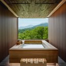 안토