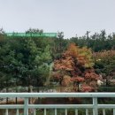 송내복사골뜨란채아파트 이미지